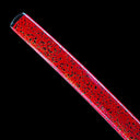Real Katana Sword – High Performance Titanium-Coated Carbon Steel Blade – Never Rusts – Red – Tactical Sword