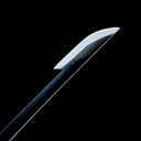 Shinobu Kocho's Sword – Insect Hashira sword – Stinger Nichirin Katana – Demon Slayer Sword – Nichirin Sword – Black