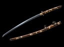 Tachi