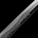 Close-up of single-sided hand-engraved Dragon Horimono on clay-tempered Wootz steel Tyrantclaw Tachi blade